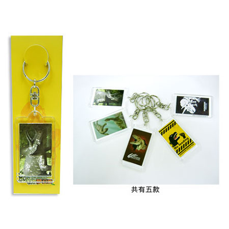 恐龍夢公園/恐龍壓克力鎖圈-三角龍