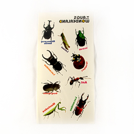 蟲蟲紋身貼紙-昆蟲
