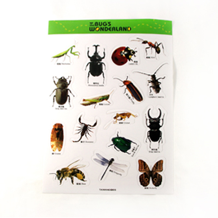 蟲蟲貼紙(大)-昆蟲